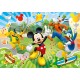 26433 vafa Mickey si prietenii sai 30x20cm